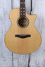 Ibanez AE170NTR Acoustic Electric Guitar Solid Spruce Top Natural High Gloss