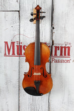 Load image into Gallery viewer, Krutz V430 300 Series Violin 4/4 Violin Outfit with Case and Bow