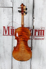 Load image into Gallery viewer, Krutz V430 300 Series Violin 4/4 Violin Outfit with Case and Bow