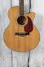 Giannini Performance Series GF-4 CEQ S Acoustic Electric Guitar with Hardshell Case