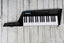 Alesis Vortex Wireless 2 Keyboard Controller 37 Key USB Keytar Controller