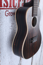Load image into Gallery viewer, Kala Striped Ebony Concert Ukulele Satin Finish Uke KA-EBY-C