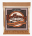 Ernie Ball Earthwood Phosphor Bronze Acoustic 12 String Custom Light Guitar Strings 10 to 48