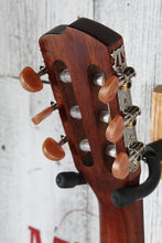 Load image into Gallery viewer, Breedlove ECO Discovery S Concert Nylon CE Acoustic Electric Nylon String Guitar