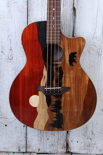 Luna Vista Bear Bass 4 String Acoustic Electric Bass Guitar with Hardshell Case
