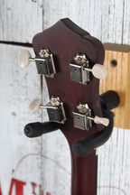 Recording King Dirty Thirty Series RKO-3S Banjo 5 String Open Back Banjo