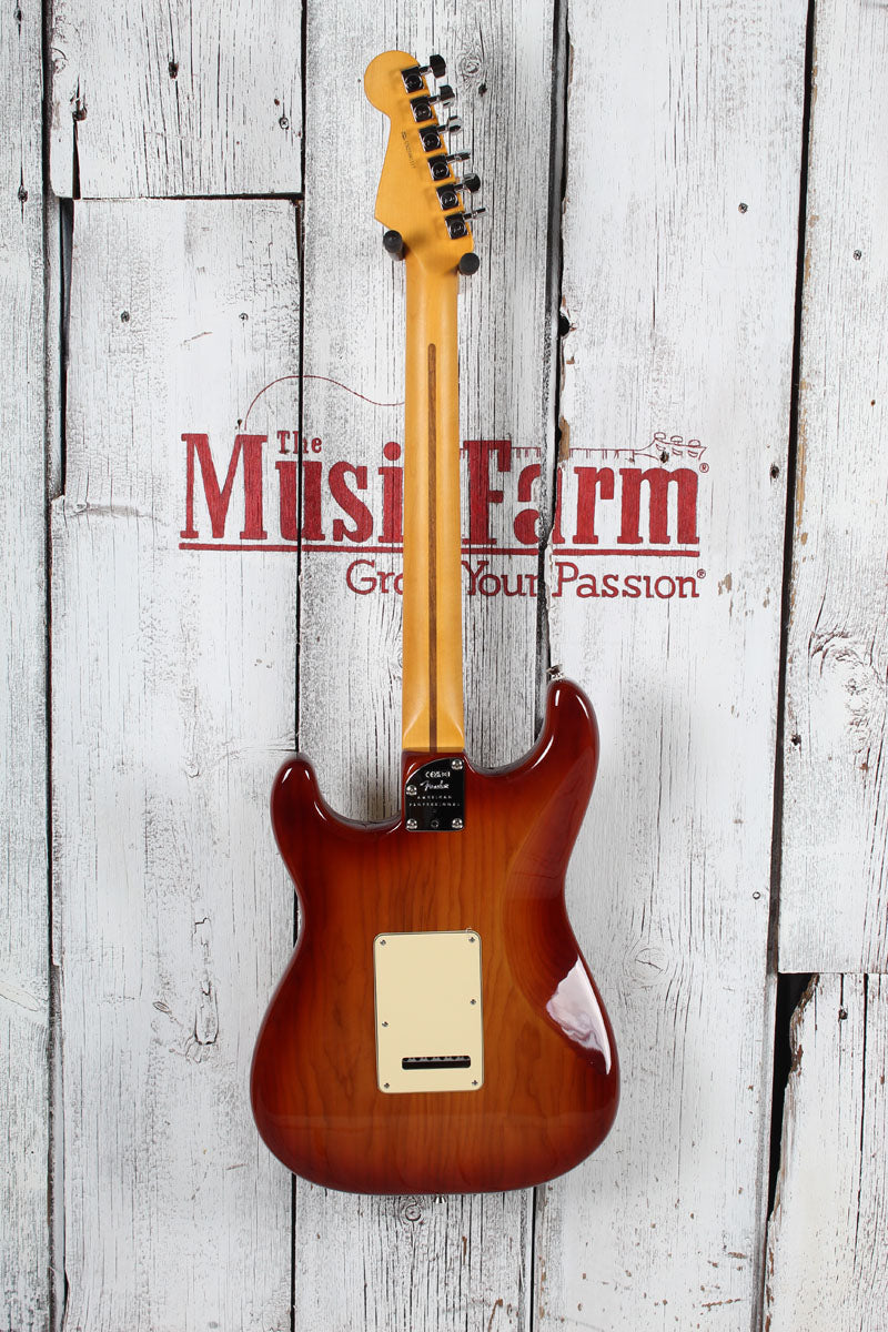Fender American Professional II Stratocaster Electric Guitar with Hardshell Case
