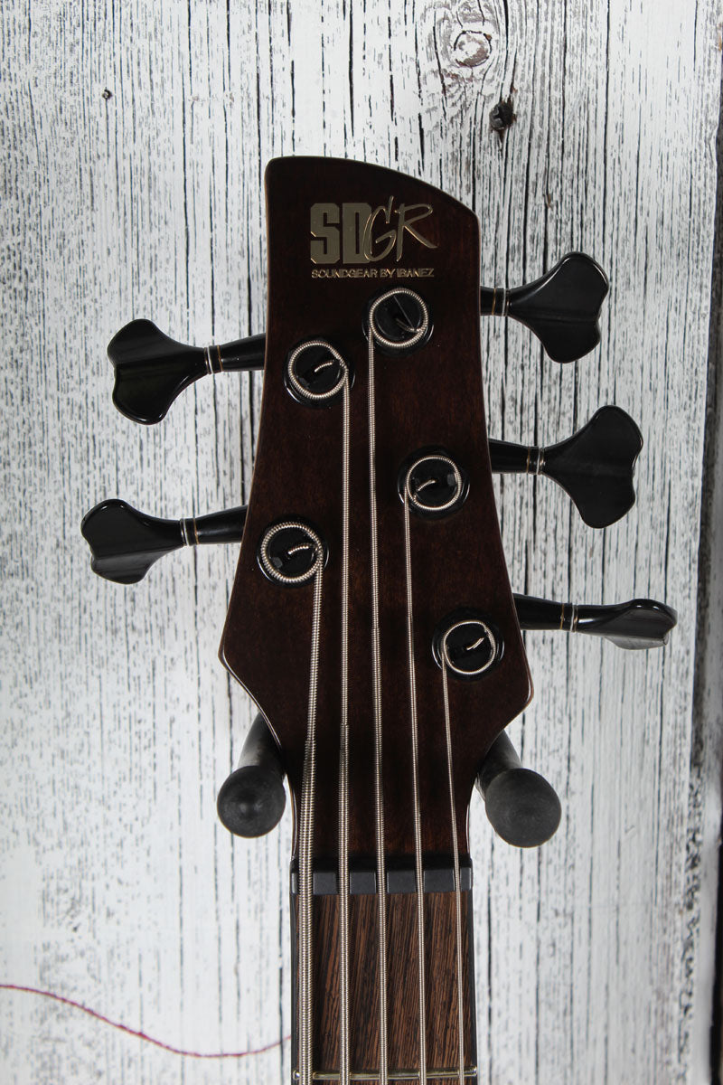 Ibanez SR Premium SR1325SB 5 String Electric Bass Guitar Aqua Wave with Gig Bag