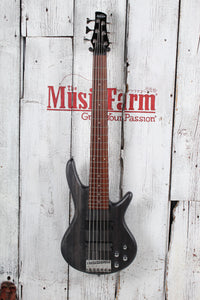 Ibanez Gio SR206 Bass 6 String Electric Bass Guitar Transparent Gray Flat