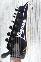 Ibanez RG Standard RG421DX Solid Body Electric Guitar Twilight Shade Finish
