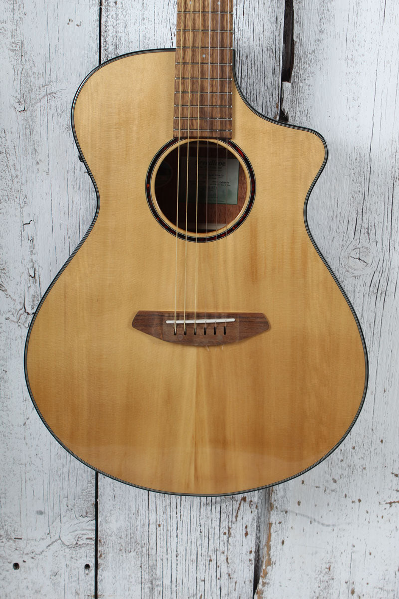 Breedlove ECO Discovery S Concert Nylon CE Acoustic Electric Nylon String Guitar Main image