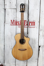 Breedlove ECO Discovery S Concert Nylon CE Acoustic Electric Nylon String Guitar