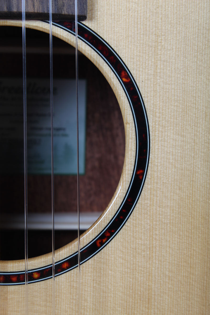 Breedlove ECO Discovery S Concert Nylon CE Acoustic Electric Nylon String Guitar