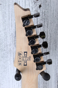 Ibanez RG Standard RG421 Solid Body Electric Guitar Blackberry Sunburst