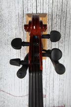 Barcelena Electric Violin 4/4 Electric Violin with Lite Leer Case