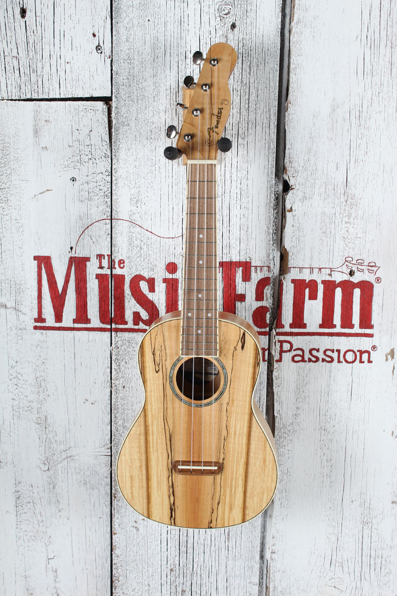 Fender California Coast Zuma Exotic Concert Ukulele Natural Spalted Maple Finish Secondary image