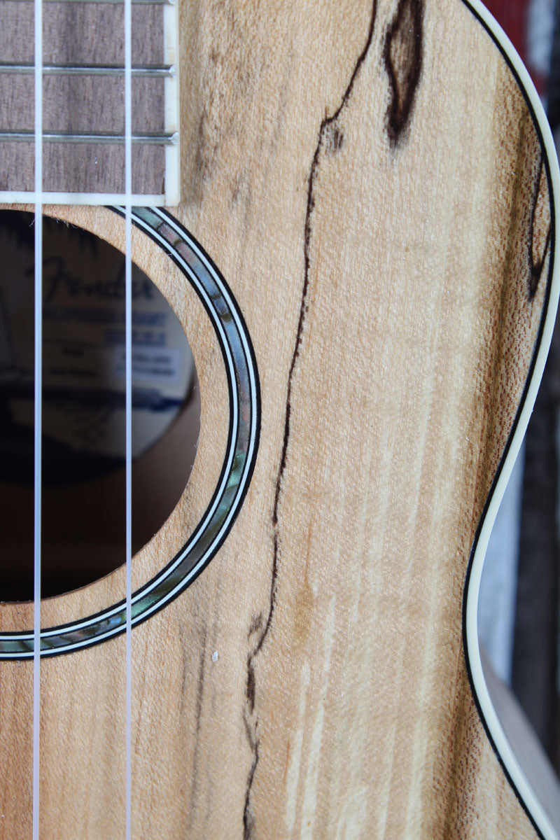 Fender California Coast Zuma Exotic Concert Ukulele Natural Spalted Maple Finish