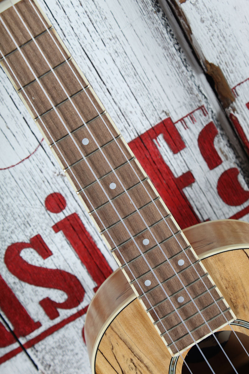 Fender California Coast Zuma Exotic Concert Ukulele Natural Spalted Maple Finish