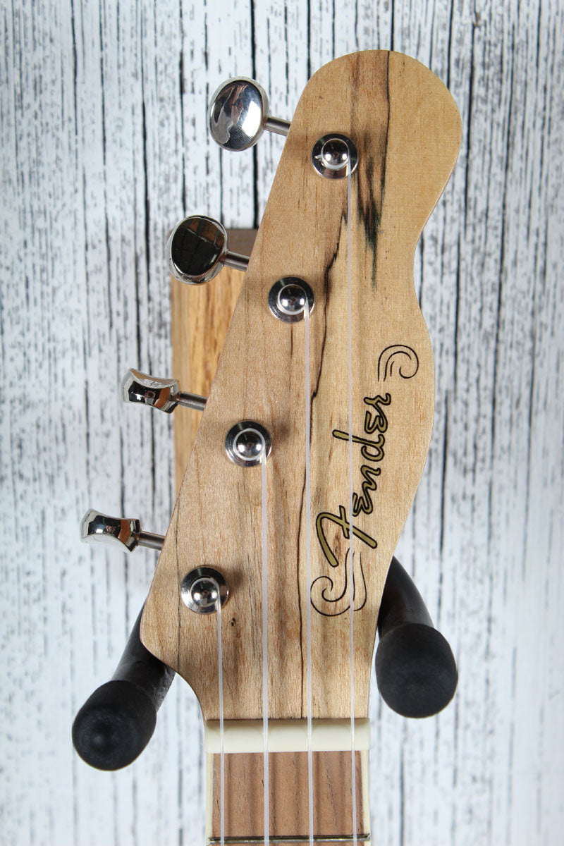 Fender California Coast Zuma Exotic Concert Ukulele Natural Spalted Maple Finish