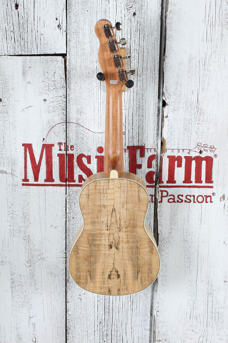 Fender California Coast Zuma Exotic Concert Ukulele Natural Spalted Maple Finish