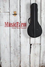 Load image into Gallery viewer, J Reynolds A Style Mandolin Tobacco Sunburst with Gig Bag