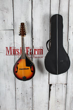 Load image into Gallery viewer, J Reynolds A Style Mandolin Tobacco Sunburst with Gig Bag