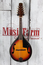 Load image into Gallery viewer, J Reynolds A Style Mandolin Tobacco Sunburst with Gig Bag