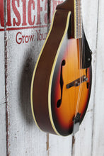 Load image into Gallery viewer, J Reynolds A Style Mandolin Tobacco Sunburst with Gig Bag