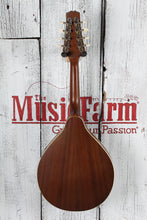 Load image into Gallery viewer, J Reynolds A Style Mandolin Tobacco Sunburst with Gig Bag