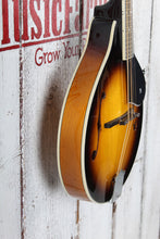 Load image into Gallery viewer, Washburn M1S Americana A Style Mandolin Solid Spruce Top Tobacco Sunburst Gloss