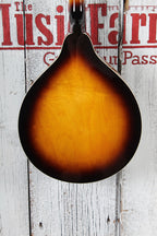 Washburn M1S Americana A Style Mandolin Solid Spruce Top Tobacco Sunburst Gloss