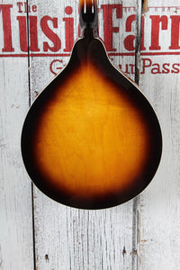 Washburn M1S Americana A Style Mandolin Solid Spruce Top Tobacco Sunburst Gloss