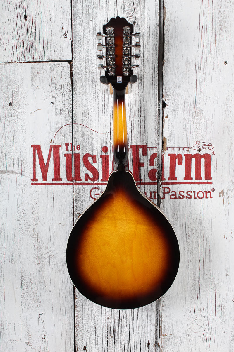 Washburn M1S Americana A Style Mandolin Solid Spruce Top Tobacco Sunburst Gloss