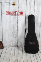 PRS S2 Swamp Ash Special Electric Guitar Black Doghair Smokeburst with Gig Bag
