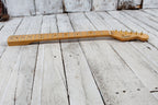 Fender Squier Classic Vibe 50s Stratocaster Neck Strat Electric Guitar Neck