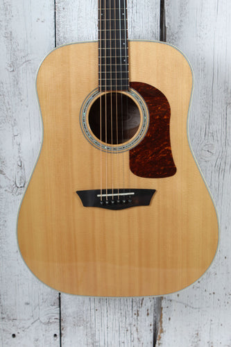 Washburn D100SWE Dreadnought Acoustic Electric Guitar with Hardshell Case