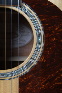 Washburn D100SWE Dreadnought Acoustic Electric Guitar with Hardshell Case