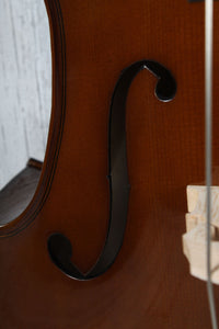 Stentor Student II Cello 1/2 Size Cello with Gig Bag and Bow