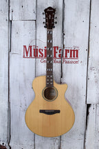 Ibanez AE170NTR Acoustic Electric Guitar Solid Spruce Top Natural High Gloss