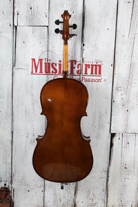 Stentor Student II Cello 1/2 Size Cello with Gig Bag and Bow