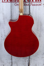 Ibanez AE170NTR Acoustic Electric Guitar Solid Spruce Top Natural High Gloss