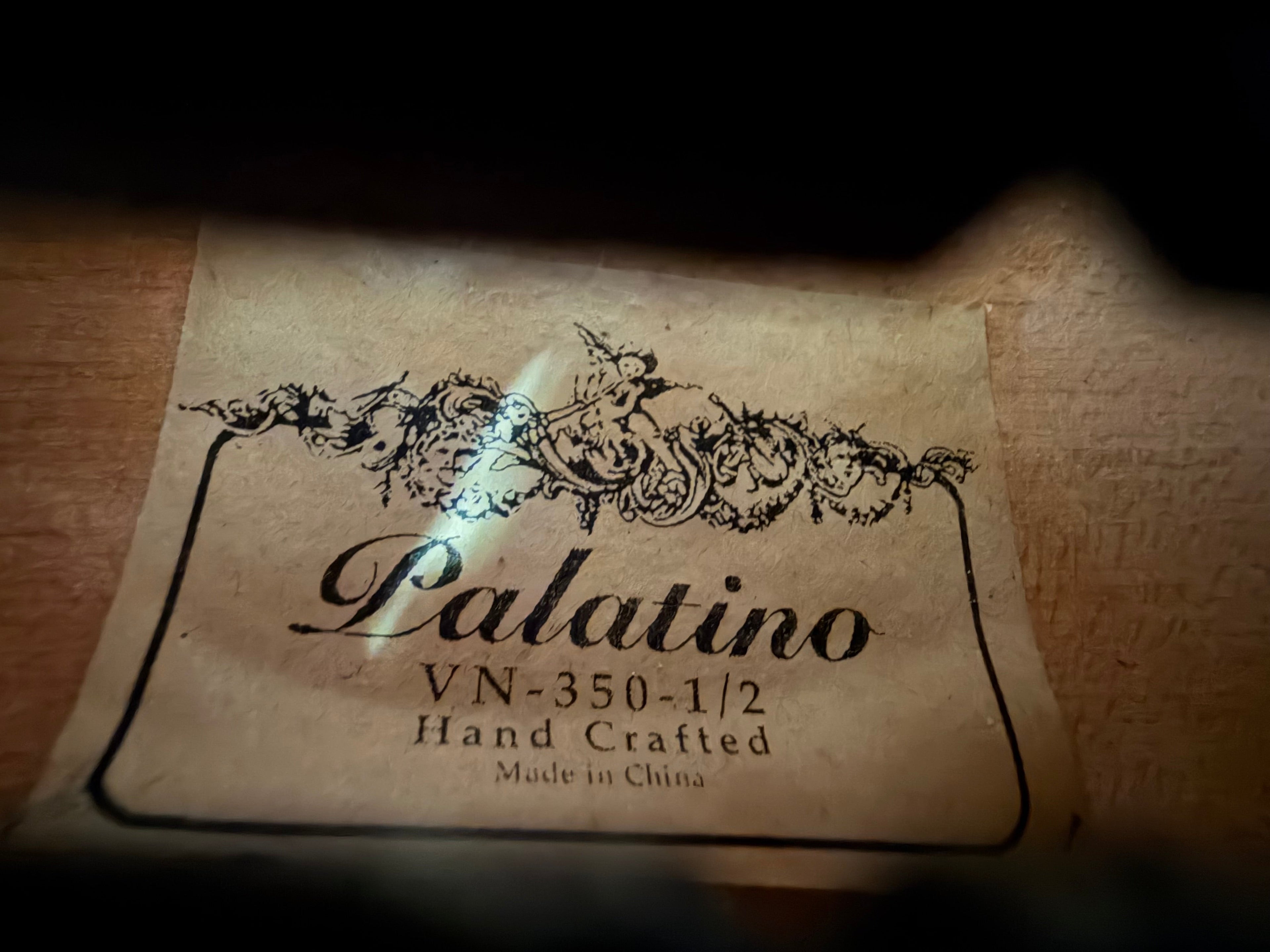 Palatino VN-350 1/2 Violin 1/2 Size Violin with Case and Bow