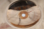 Paiste Alpha Series 17 Inch Rock Crash Cymbal 17" Rock Crash Drum Cymbal