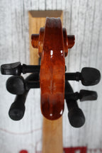 Josef Bremen Pro Violin Outfit 4/4 Size Violin with Case and Bow