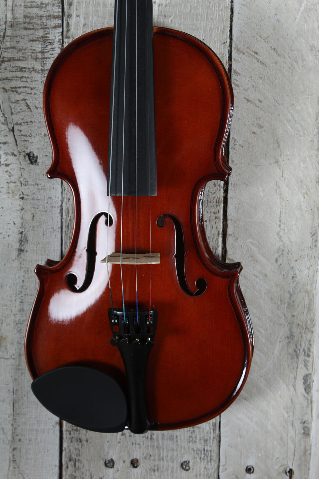Palatino VN-350 1/2 Violin 1/2 Size Violin with Case and Bow
