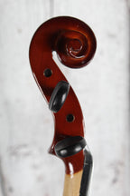 Palatino VN-350 1/2 Violin 1/2 Size Violin with Case and Bow