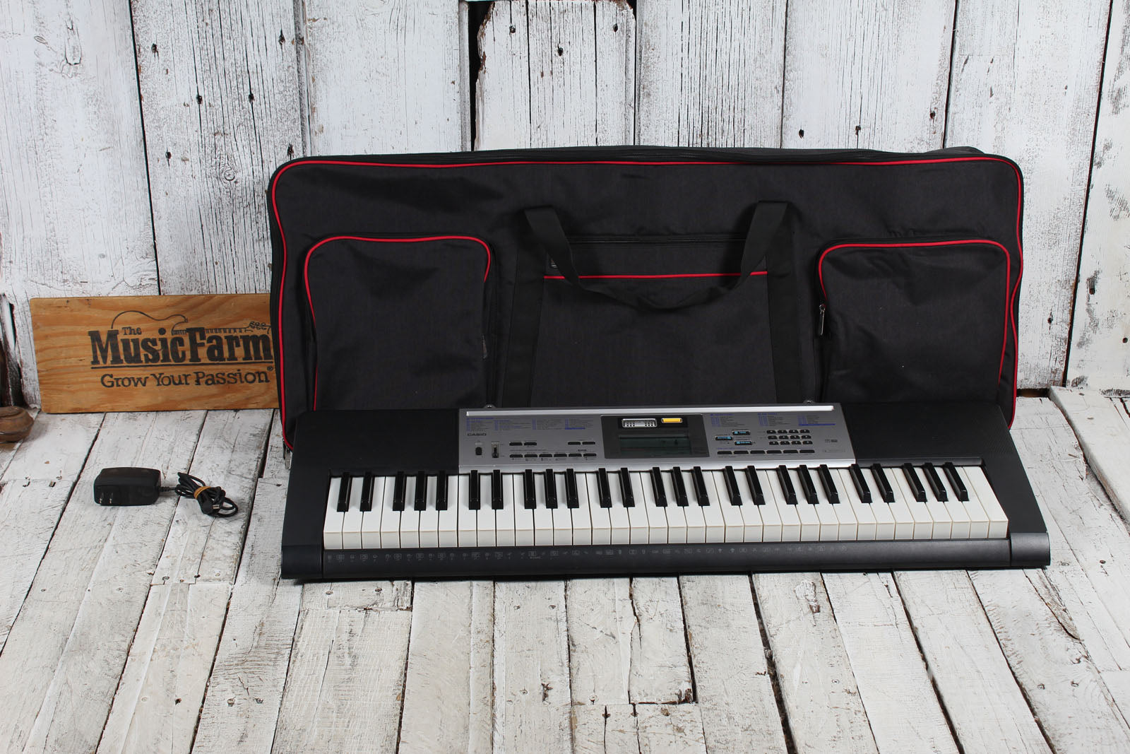 Casio LK-175 Keyboard 61 Key Portable Keyboard with Power Supply and Gig Bag