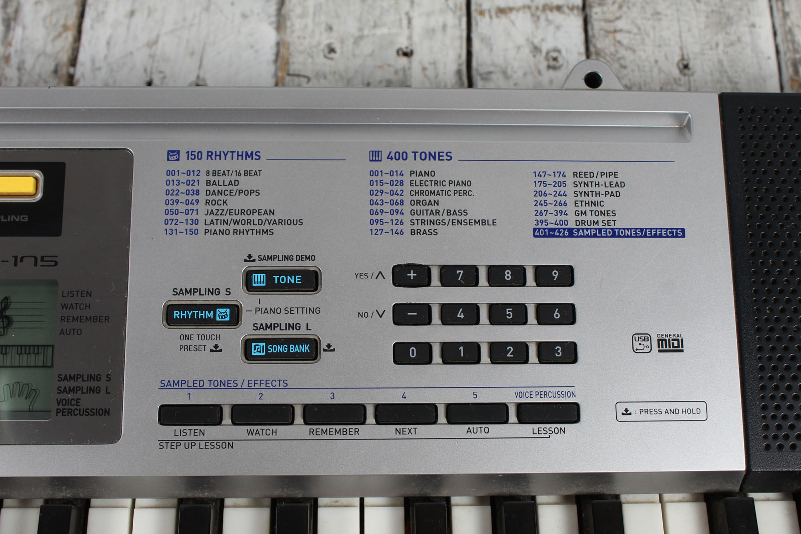 Casio LK-175 Keyboard 61 Key Portable Keyboard with Power Supply and Gig Bag