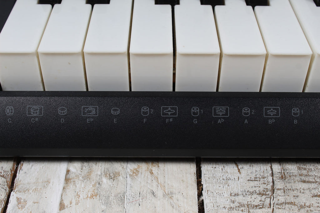 Casio LK-175 Keyboard 61 Key Portable Keyboard with Power Supply and Gig Bag