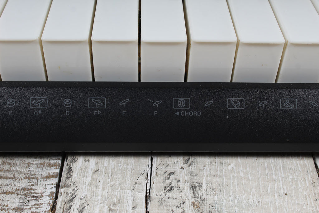 Casio LK-175 Keyboard 61 Key Portable Keyboard with Power Supply and Gig Bag